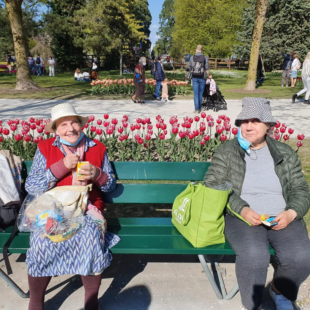 samedi-en-famille-avril-sortie-parc-tulipes-morges-afqm-actualites-sourires