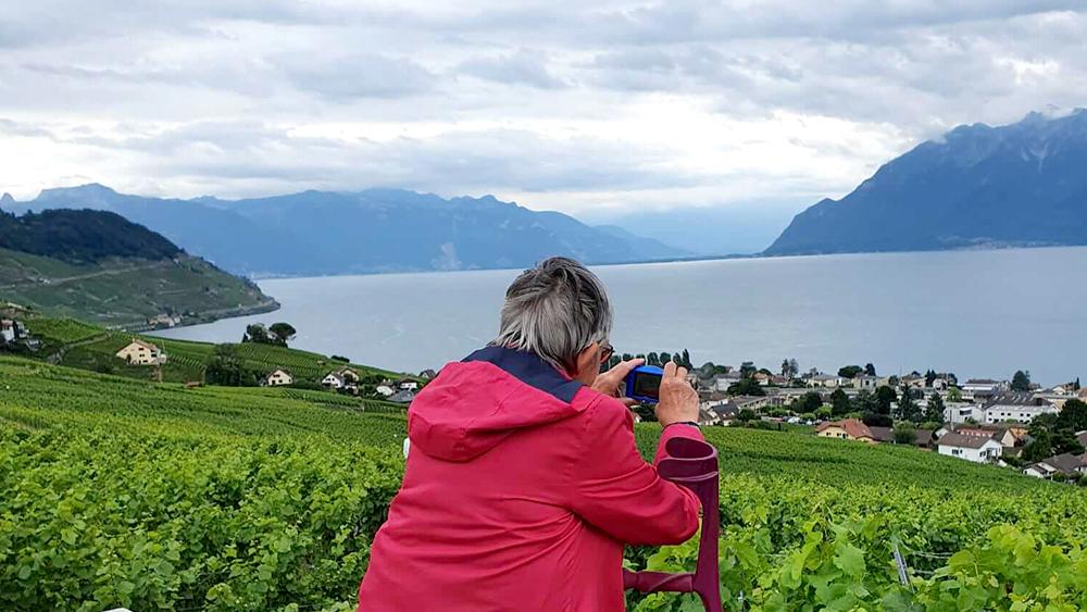 Marche dans le Lavaux en été – Activité Sortie été – AFQM